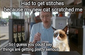 Getting pretty serious with Grumpy | Had to get stitches because my new cat scratched me; So I guess you could say things are getting pretty serious | image tagged in so i guess you can say things are getting pretty serious,grumpy,grumpy cat,justjeff,funny memes | made w/ Imgflip meme maker