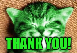 happy RayCat | THANK YOU! | image tagged in happy raycat | made w/ Imgflip meme maker