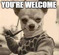 YOU'RE WELCOME | made w/ Imgflip meme maker