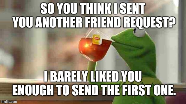 Kermit sipping tea | SO YOU THINK I SENT YOU ANOTHER FRIEND REQUEST? I BARELY LIKED YOU ENOUGH TO SEND THE FIRST ONE. | image tagged in kermit sipping tea | made w/ Imgflip meme maker