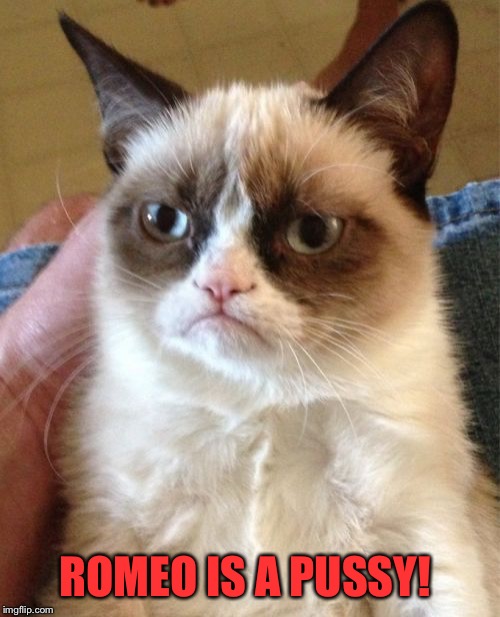 Grumpy Cat Meme | ROMEO IS A PUSSY! | image tagged in memes,grumpy cat | made w/ Imgflip meme maker