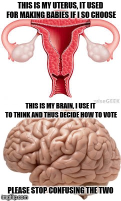 I don't think or vote with my uterus | THIS IS MY UTERUS, IT USED FOR MAKING BABIES IF I SO CHOOSE; THIS IS MY BRAIN, I USE IT TO THINK AND THUS DECIDE HOW TO VOTE; PLEASE STOP CONFUSING THE TWO | image tagged in memes | made w/ Imgflip meme maker