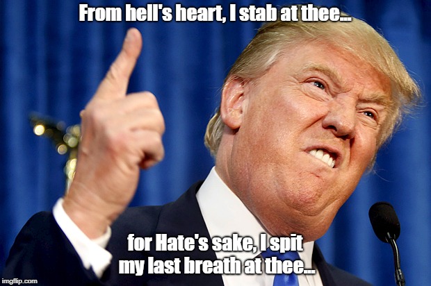 Donald Trump | From hell's heart, I stab at thee... for Hate's sake, I spit my last breath at thee... | image tagged in donald trump | made w/ Imgflip meme maker