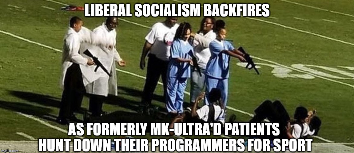 LIBERAL SOCIALISM BACKFIRES; AS FORMERLY MK-ULTRA'D PATIENTS HUNT DOWN THEIR PROGRAMMERS FOR SPORT | made w/ Imgflip meme maker