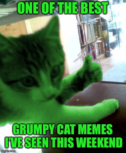 thumbs up RayCat | ONE OF THE BEST GRUMPY CAT MEMES I’VE SEEN THIS WEEKEND | image tagged in thumbs up raycat | made w/ Imgflip meme maker