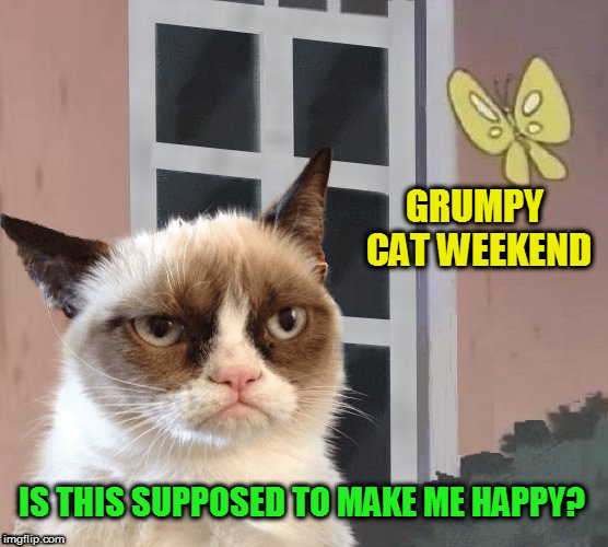 IS THIS SUPPOSED TO MAKE ME HAPPY? GRUMPY CAT WEEKEND | made w/ Imgflip meme maker