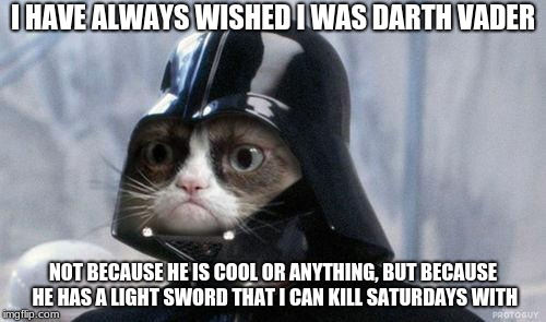 Grumpy Cat Star Wars | I HAVE ALWAYS WISHED I WAS DARTH VADER; NOT BECAUSE HE IS COOL OR ANYTHING, BUT BECAUSE HE HAS A LIGHT SWORD THAT I CAN KILL SATURDAYS WITH | image tagged in memes,grumpy cat star wars,grumpy cat | made w/ Imgflip meme maker