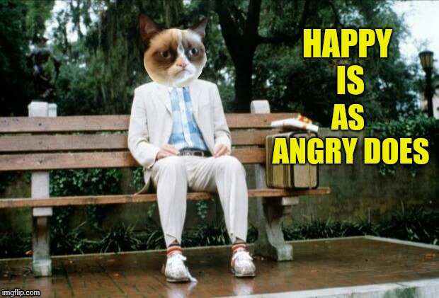 HAPPY IS AS ANGRY DOES | made w/ Imgflip meme maker