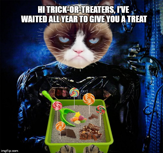 Grumpy Cat Weekend - A Craziness_all_the_way and Socrates event | HI TRICK-OR-TREATERS, I'VE WAITED ALL YEAR TO GIVE YOU A TREAT | image tagged in grumpy cat weekend - a craziness_all_the_way and socrates event,halloween,trick or treat | made w/ Imgflip meme maker