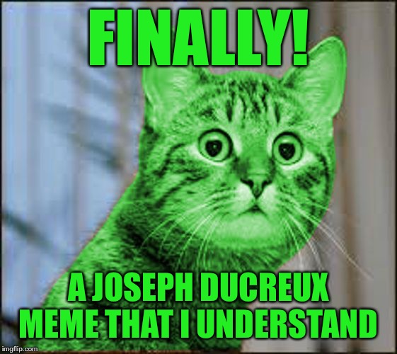 RayCat WTF | FINALLY! A JOSEPH DUCREUX MEME THAT I UNDERSTAND | image tagged in raycat wtf | made w/ Imgflip meme maker