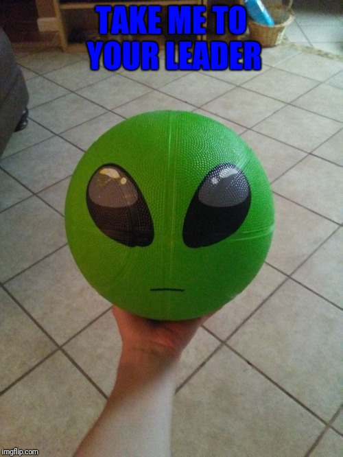 TAKE ME TO YOUR LEADER | image tagged in alien face basketball | made w/ Imgflip meme maker