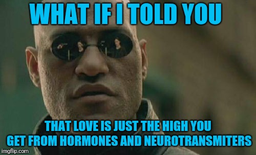 Hard to fit this into a song | WHAT IF I TOLD YOU; THAT LOVE IS JUST THE HIGH YOU GET FROM HORMONES AND NEUROTRANSMITERS | image tagged in memes,matrix morpheus | made w/ Imgflip meme maker