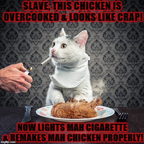 Image tagged in smoking kitty Imgflip