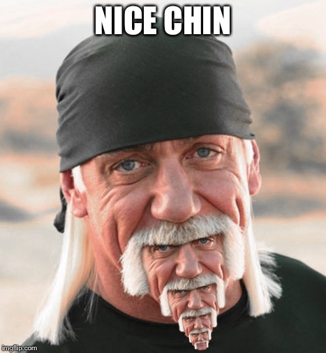 hulk chin | NICE CHIN | image tagged in hulk chin | made w/ Imgflip meme maker