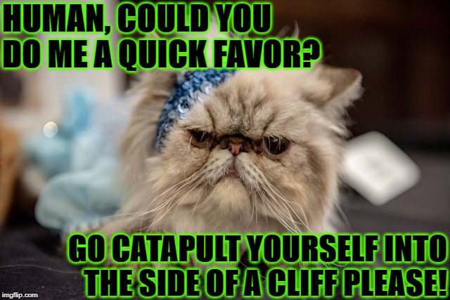 MAD PERSIAN | HUMAN, COULD YOU DO ME A QUICK FAVOR? GO CATAPULT YOURSELF INTO THE SIDE OF A CLIFF PLEASE! | image tagged in mad persian | made w/ Imgflip meme maker