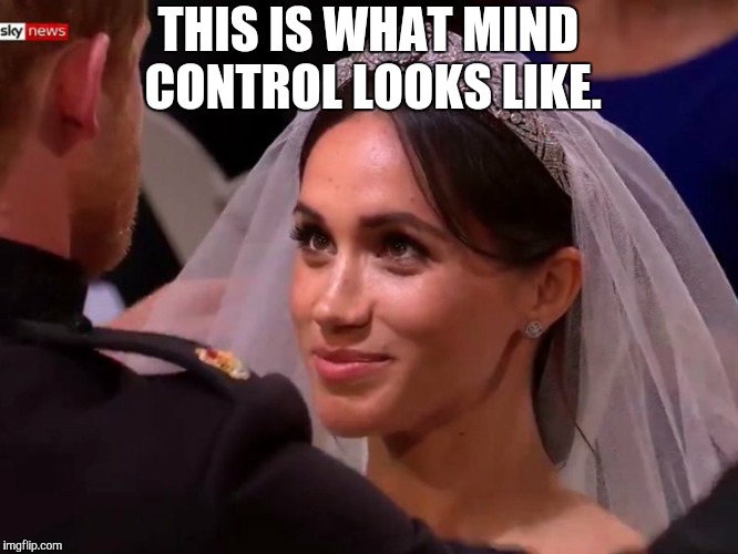 royal wedding | THIS IS WHAT MIND CONTROL LOOKS LIKE. | image tagged in royal wedding | made w/ Imgflip meme maker