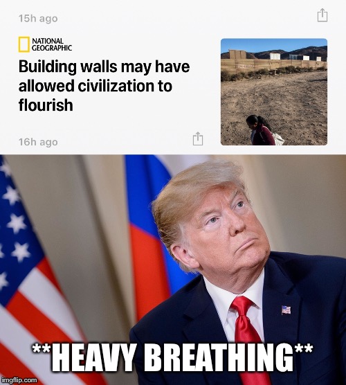 Build a wall | **HEAVY BREATHING** | image tagged in trump,donald trump,president trump,trump wall | made w/ Imgflip meme maker