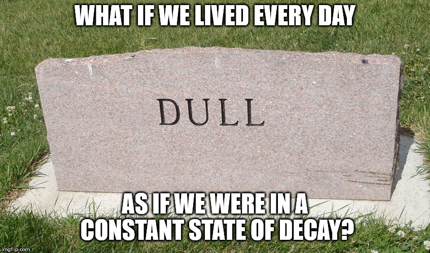 WHAT IF WE LIVED EVERY DAY AS IF WE WERE IN A CONSTANT STATE OF DECAY? | image tagged in stoned and bored | made w/ Imgflip meme maker