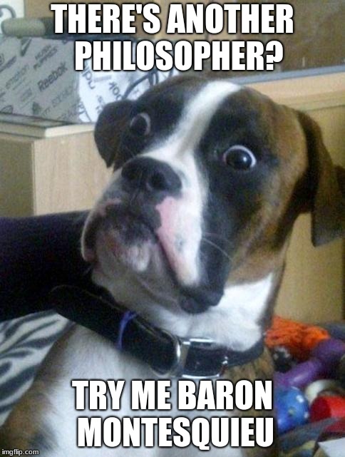 Suprised Boxer | THERE'S ANOTHER 
PHILOSOPHER? TRY ME BARON MONTESQUIEU | image tagged in suprised boxer | made w/ Imgflip meme maker