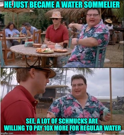 Make sure you pair your water with the correct food. | HE JUST BECAME A WATER SOMMELIER; SEE, A LOT OF SCHMUCKS ARE WILLING TO PAY 10X MORE FOR REGULAR WATER | image tagged in water,sommelier,see nobody cares,memes,funny | made w/ Imgflip meme maker