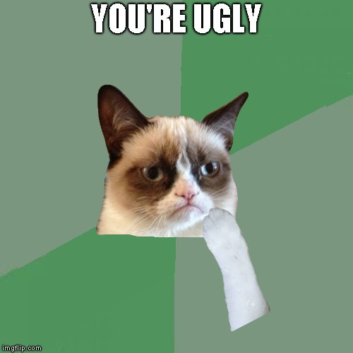 Philosopher cat [Grumpy cat weekend] | YOU'RE UGLY | image tagged in memes,grumpy cat weekend | made w/ Imgflip meme maker