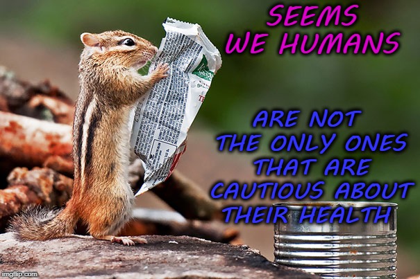 ARE NOT THE ONLY ONES THAT ARE CAUTIOUS ABOUT THEIR HEALTH; SEEMS WE HUMANS | image tagged in chipmunk,health,funny | made w/ Imgflip meme maker