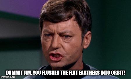 Dammit Jim | DAMMIT JIM, YOU FLUSHED THE FLAT EARTHERS INTO ORBIT! | image tagged in dammit jim | made w/ Imgflip meme maker