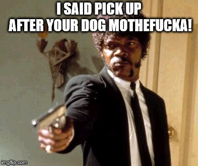 Say That Again I Dare You Meme | I SAID PICK UP AFTER YOUR DOG MOTHEF**KA! | image tagged in memes,say that again i dare you | made w/ Imgflip meme maker