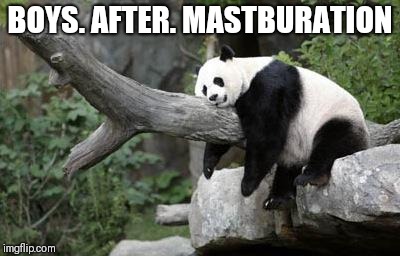 lazy panda | BOYS. AFTER. MASTBURATION | image tagged in lazy panda | made w/ Imgflip meme maker