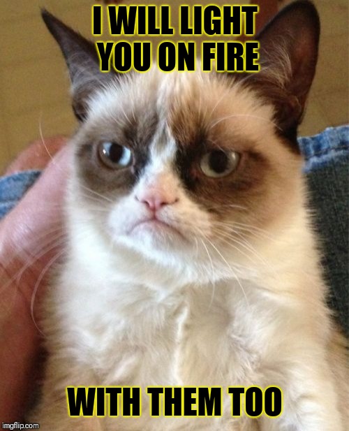 Grumpy Cat Meme | I WILL LIGHT YOU ON FIRE WITH THEM TOO | image tagged in memes,grumpy cat | made w/ Imgflip meme maker