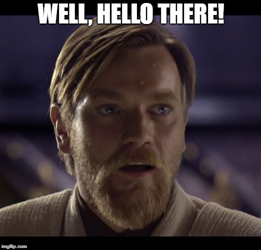 Hello there | WELL, HELLO THERE! | image tagged in hello there | made w/ Imgflip meme maker