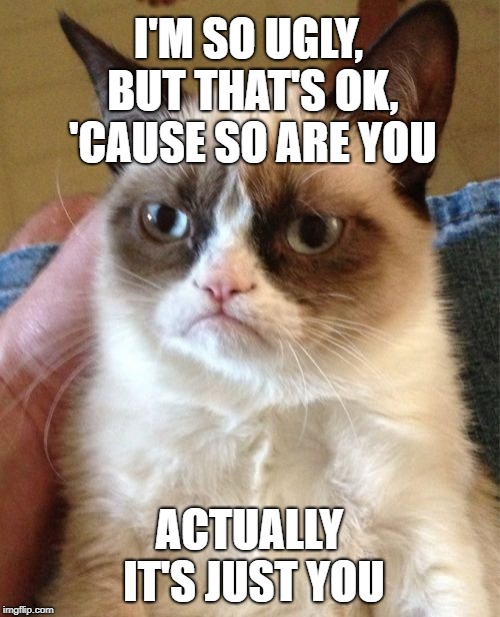 Grumpy Cat Meme | I'M SO UGLY, BUT THAT'S OK, 'CAUSE SO ARE YOU ACTUALLY IT'S JUST YOU | image tagged in memes,grumpy cat | made w/ Imgflip meme maker