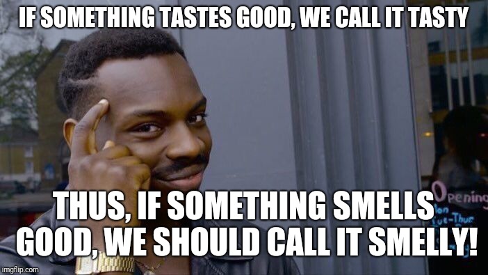 THINK ABOUT IT | IF SOMETHING TASTES GOOD, WE CALL IT TASTY; THUS, IF SOMETHING SMELLS GOOD, WE SHOULD CALL IT SMELLY! | image tagged in memes,roll safe think about it,smelly,tasty | made w/ Imgflip meme maker