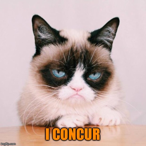 grumpy cat again | I CONCUR | image tagged in grumpy cat again | made w/ Imgflip meme maker