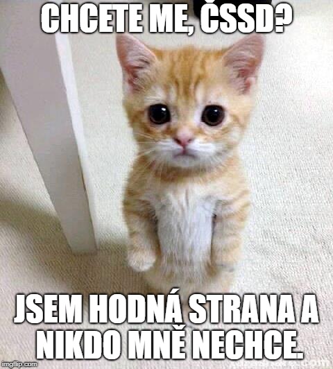 Cute Cat Meme | CHCETE ME, ČSSD? JSEM HODNÁ STRANA
A NIKDO MNĚ NECHCE. | image tagged in memes,cute cat | made w/ Imgflip meme maker