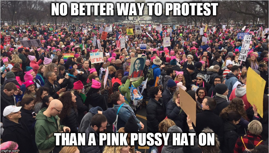 what else can you do?   | NO BETTER WAY TO PROTEST; THAN A PINK PUSSY HAT ON | image tagged in pink,pussy,hat,protesters,no,better | made w/ Imgflip meme maker