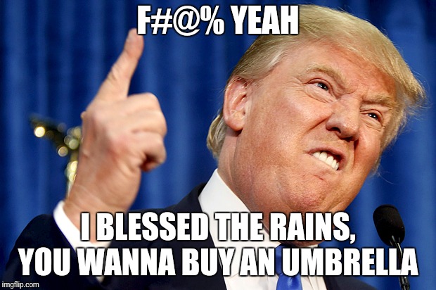 Donald Trump | F#@% YEAH I BLESSED THE RAINS, YOU WANNA BUY AN UMBRELLA | image tagged in donald trump | made w/ Imgflip meme maker