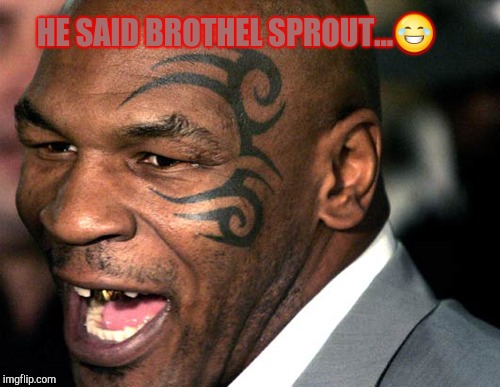HE SAID BROTHEL SPROUT... | image tagged in mike tyson laughing | made w/ Imgflip meme maker