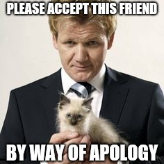 PLEASE ACCEPT THIS FRIEND BY WAY OF APOLOGY | image tagged in gordon ramsay with cat | made w/ Imgflip meme maker