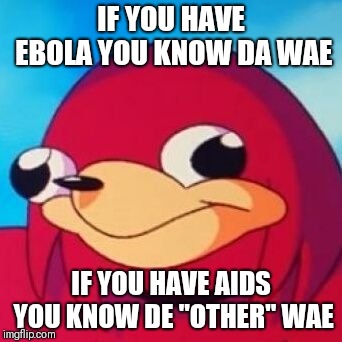 Ugandan Knuckles | IF YOU HAVE EBOLA YOU KNOW DA WAE; IF YOU HAVE AIDS YOU KNOW DE "OTHER" WAE | image tagged in ugandan knuckles | made w/ Imgflip meme maker