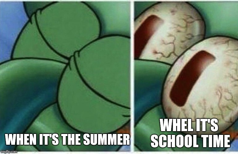 Squidward | WHEL IT'S SCHOOL TIME; WHEN IT'S THE SUMMER | image tagged in squidward,memes | made w/ Imgflip meme maker
