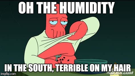 Zoidberg  | OH THE HUMIDITY IN THE SOUTH, TERRIBLE ON MY HAIR | image tagged in zoidberg | made w/ Imgflip meme maker