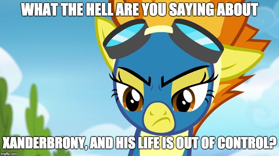 Where is life going? | WHAT THE HELL ARE YOU SAYING ABOUT; XANDERBRONY, AND HIS LIFE IS OUT OF CONTROL? | image tagged in memes,ponies,life,xanderbrony | made w/ Imgflip meme maker