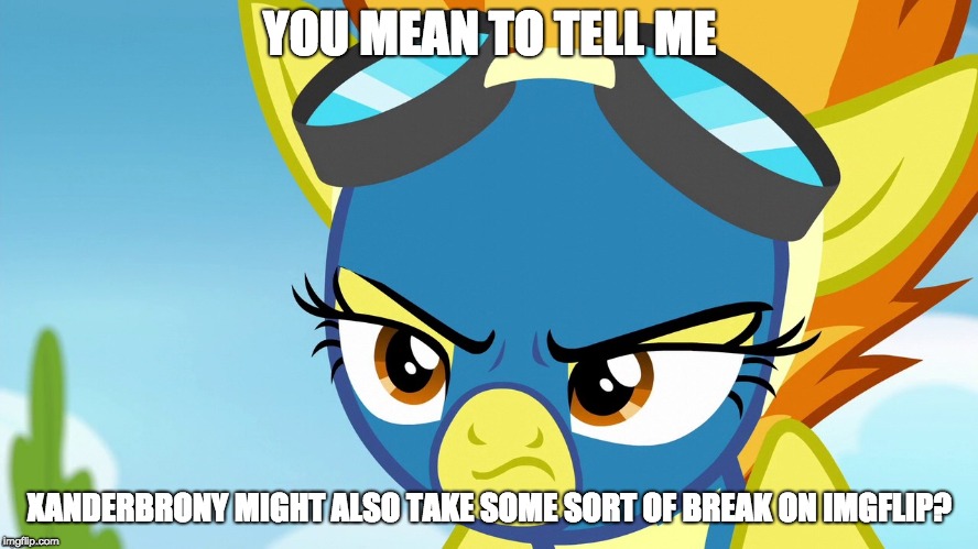 Trying to figure out everything, and might not focus fully on imgflip! | YOU MEAN TO TELL ME; XANDERBRONY MIGHT ALSO TAKE SOME SORT OF BREAK ON IMGFLIP? | image tagged in memes,break,xanderbrony,life,ponies | made w/ Imgflip meme maker