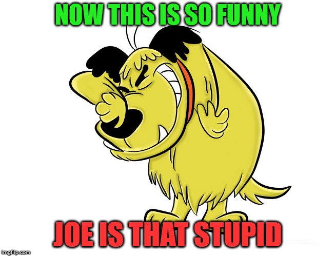 NOW THIS IS SO FUNNY JOE IS THAT STUPID | image tagged in muttley memes | made w/ Imgflip meme maker