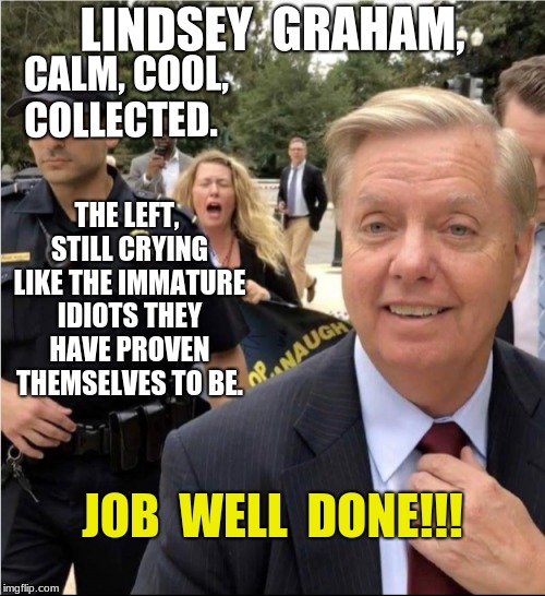 LINDSEY  GRAHAM, CALM, COOL, COLLECTED. THE LEFT, STILL CRYING LIKE THE IMMATURE IDIOTS THEY HAVE PROVEN THEMSELVES TO BE. JOB  WELL  DONE!!! | image tagged in calm,winning | made w/ Imgflip meme maker