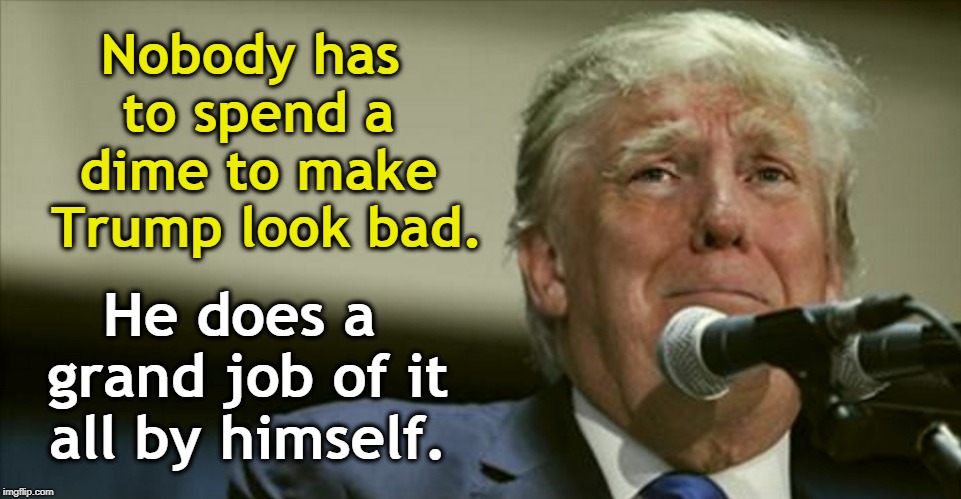 Nobody has to spend a dime to make 
Trump look bad. He does a grand job of it all by himself. | made w/ Imgflip meme maker