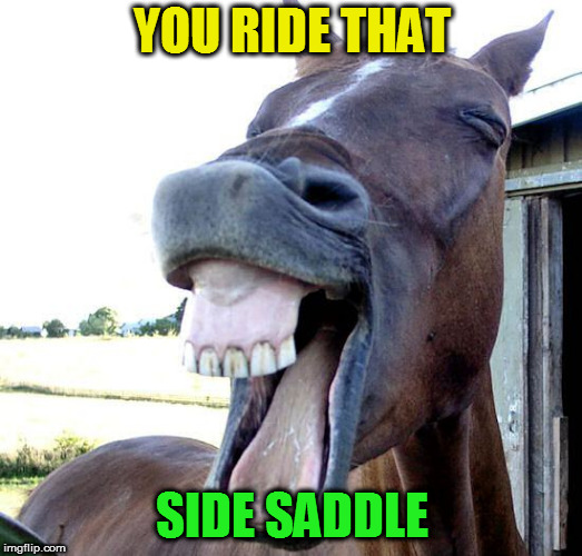 YOU RIDE THAT SIDE SADDLE | made w/ Imgflip meme maker