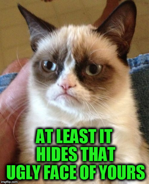 Grumpy Cat Meme | AT LEAST IT HIDES THAT UGLY FACE OF YOURS | image tagged in memes,grumpy cat | made w/ Imgflip meme maker