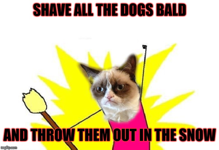 Grumpy Cat Weekend (A Socrates and Craziness_All_the_way event) | SHAVE ALL THE DOGS BALD; AND THROW THEM OUT IN THE SNOW | image tagged in memes,x all the y,funny,pets,grumpy cat weekend | made w/ Imgflip meme maker